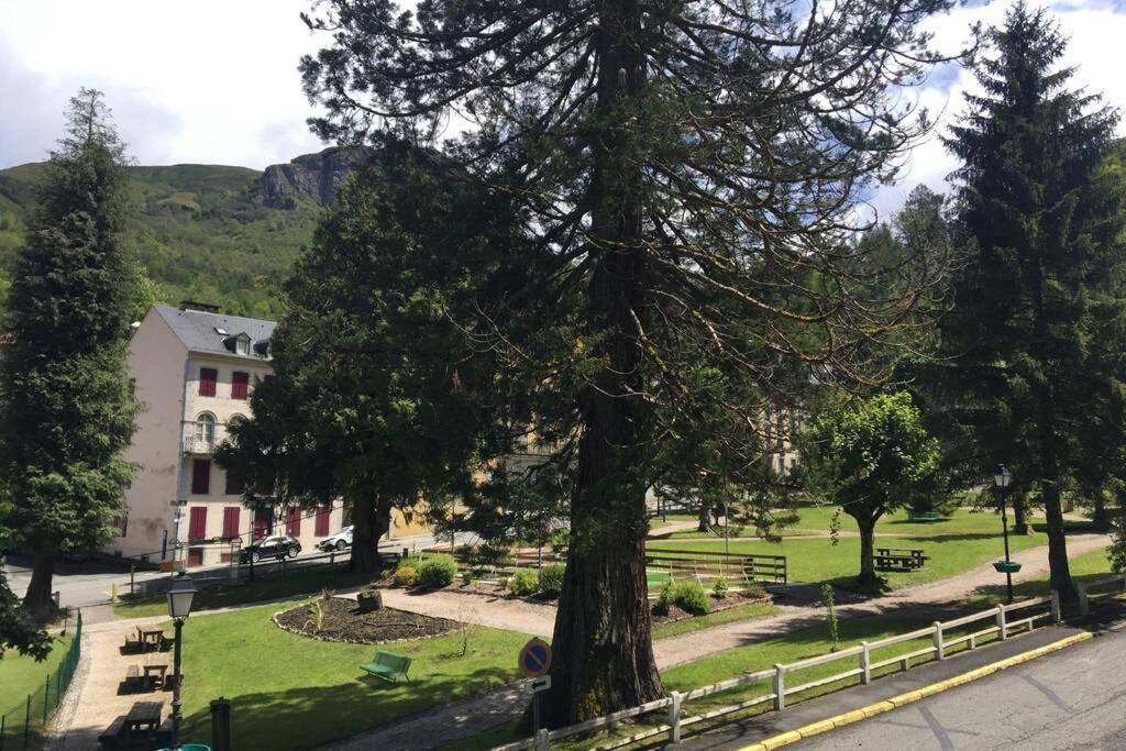 Cocon De La Vallee D'Ossau , Veritable Havre De Paix - 4 A 6 Pers Eaux-Bonnes Luaran gambar